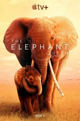 The Elephant Queen (2019) Prints and Posters