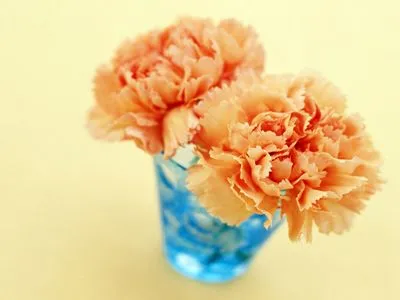 Flowers 15oz Colored Inner & Handle Mug