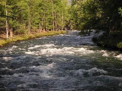 Rivers White Water Bottle With Carabiner