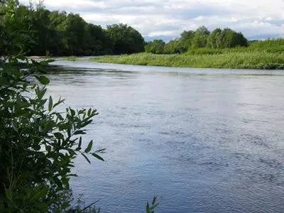 Rivers Round Flask