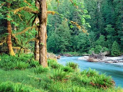 Rivers Camping Mug