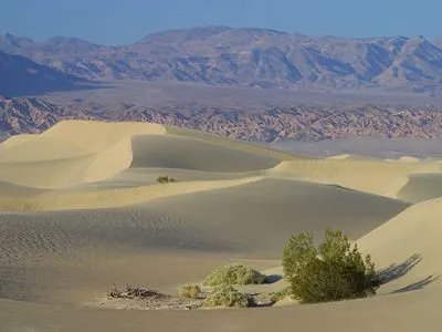 Desert Pillow