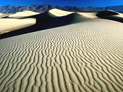 Desert Round Flask