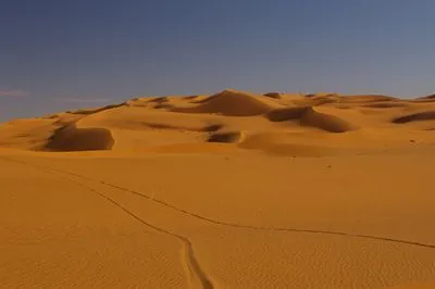 Desert Hip Flask