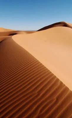 Desert Apron