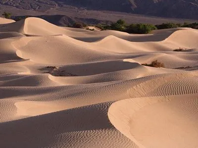 Desert Metal Wall Art