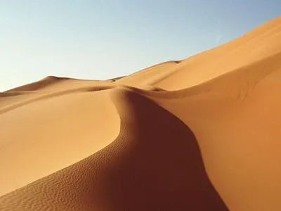 Desert Camping Mug