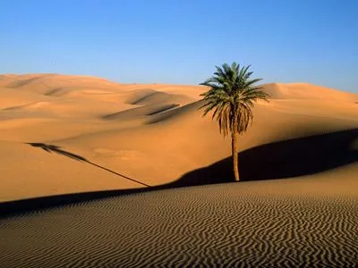 Desert Tote