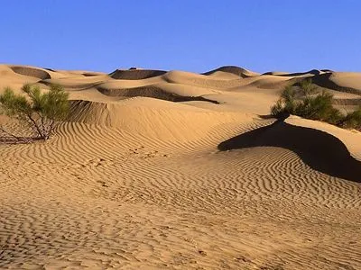 Desert Tote