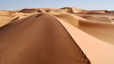 Desert Hip Flask