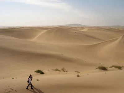 Desert Tote