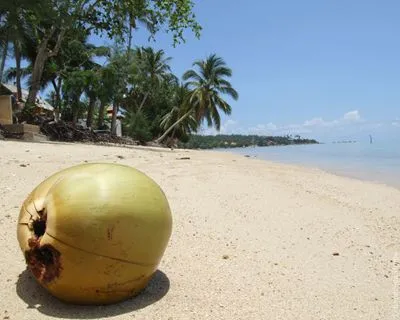 Islands Round Flask