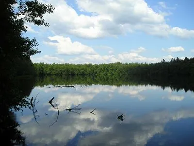 Lakes Tote