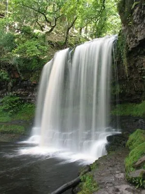 Waterfalls Tote