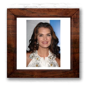 Brooke Shields 6x6