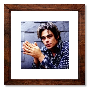 Benicio del Toro 12x12