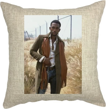 Bill Bellamy Pillow