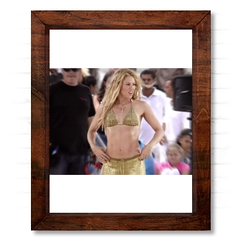 Shakira 14x17