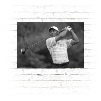 Tiger Woods Poster