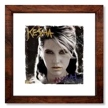 Ke$ha 12x12