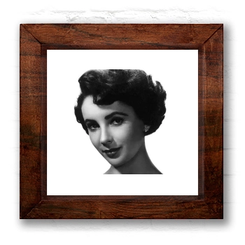 Elizabeth Taylor 6x6