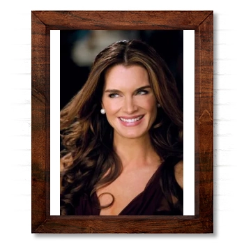 Brooke Shields 14x17