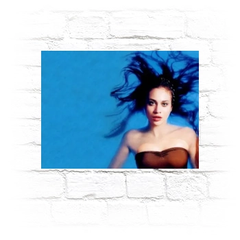 Fiona Apple Metal Wall Art