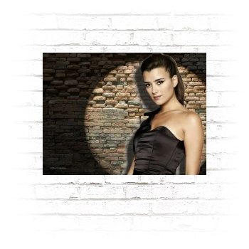 Cote De Pablo Poster