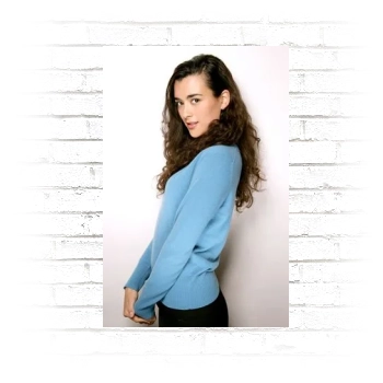 Cote De Pablo Poster