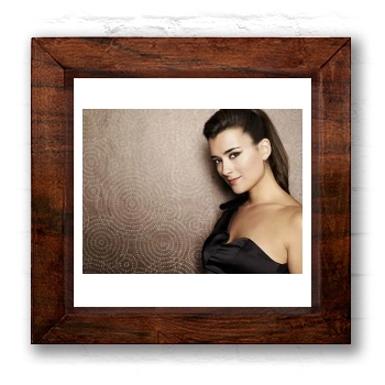 Cote De Pablo 6x6