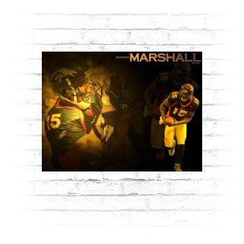 Brandon Marshall Poster