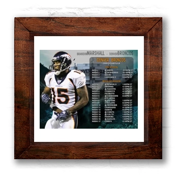 Brandon Marshall 6x6