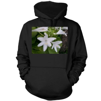 Flowers Mens Pullover Hoodie Sweatshirt