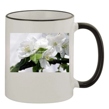 Flowers 11oz Colored Rim & Handle Mug