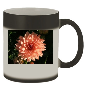 Flowers Color Changing Mug