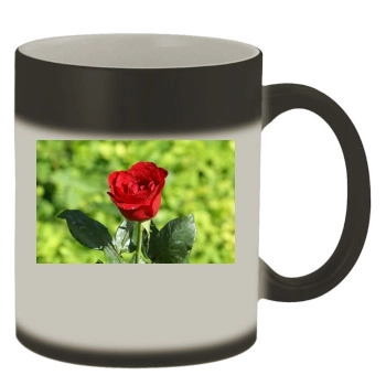 Flowers Color Changing Mug