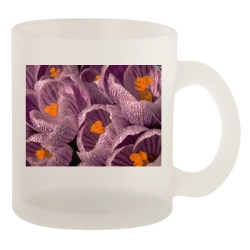 Flowers 10oz Frosted Mug