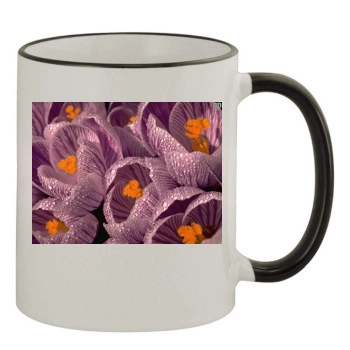 Flowers 11oz Colored Rim & Handle Mug