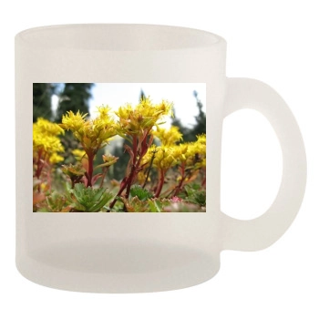 Flowers 10oz Frosted Mug