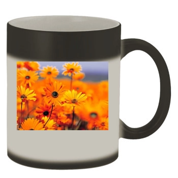 Flowers Color Changing Mug