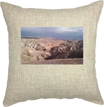 Desert Pillow