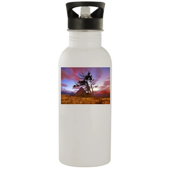 Desert Stainless Steel Water Bottle