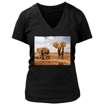 Desert Women's Deep V-Neck TShirt