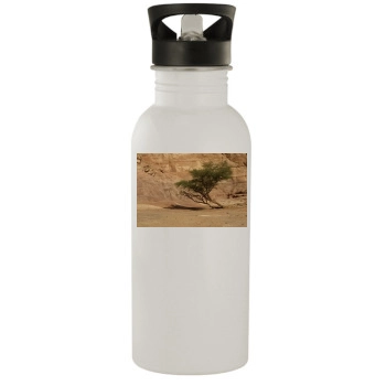 Desert Stainless Steel Water Bottle