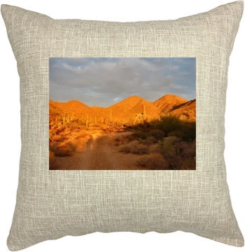 Desert Pillow