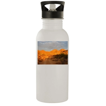 Desert Stainless Steel Water Bottle