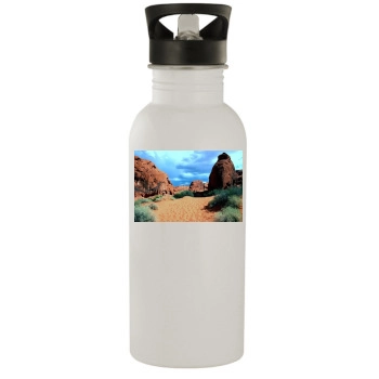Desert Stainless Steel Water Bottle