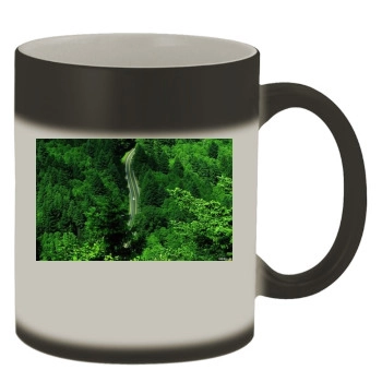 Forests Color Changing Mug