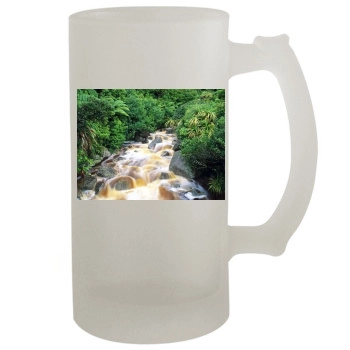 Waterfalls 16oz Frosted Beer Stein