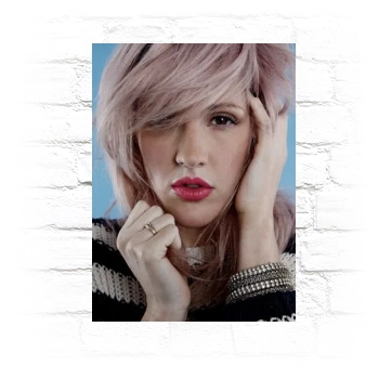 Ellie Goulding Metal Wall Art